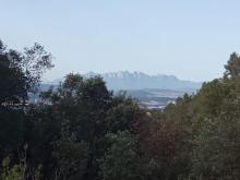 bosque mediterráneo con vistas a Montserrat