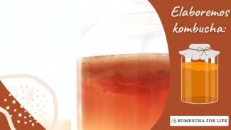 Curso elaboración de Kombucha online