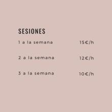 Sesiones: 1 a la semana, 15€/h | 2 a la semana, 12€/h | 3 a la semana, 10€/h 