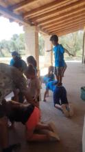 Niños practicando acrobacia grupal, vease mano a mano