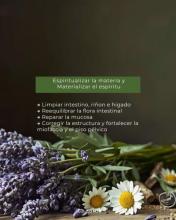 Taller Teorico y Vivencial Depurativo