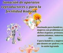Sanación de aparatos reproductores masculino y femenino 