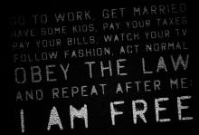 are you free?