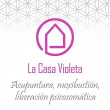 Casa violeta logo
